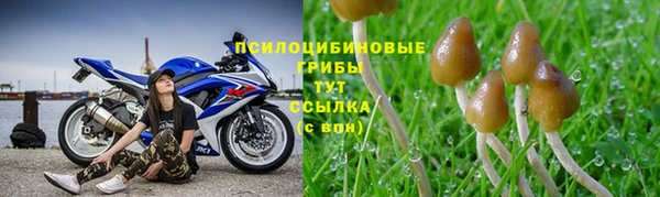 прущий лед Алексеевка